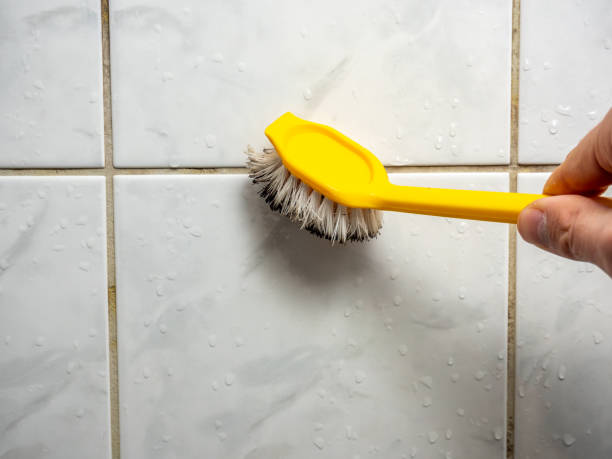 Best Certified Mold Removal  in Lincolnia, VA