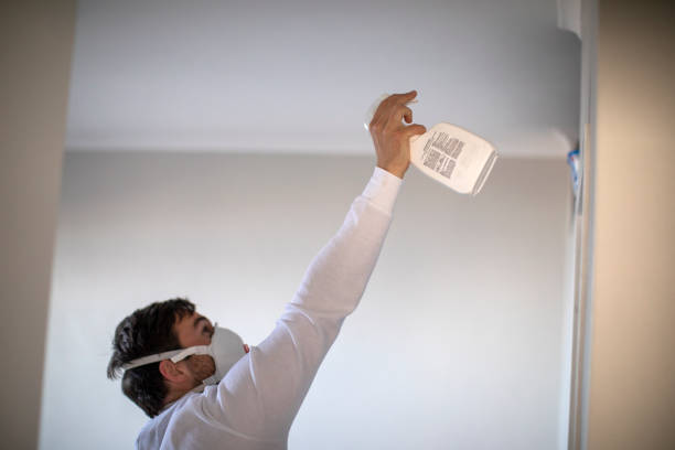Home Mold Removal in Lincolnia, VA