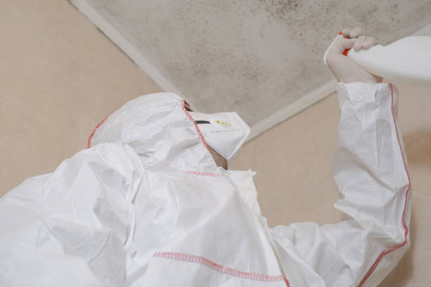 Lincolnia, VA Mold Removal Company